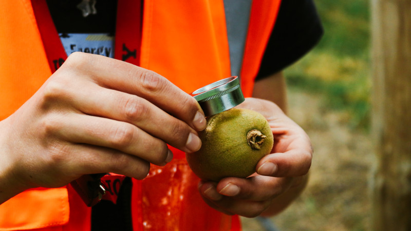 production supervisor