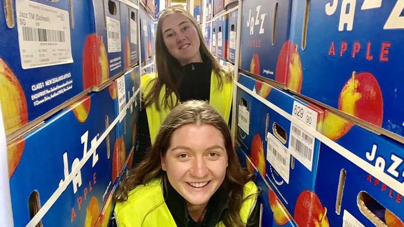 Alex and Molly apples LARGE