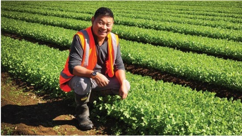 Allan Fong website